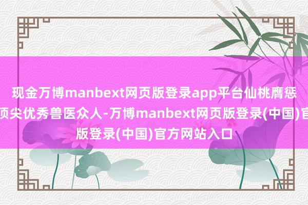 现金万博manbext网页版登录app平台仙桃膺惩有关了全省顶尖优秀兽医众人-万博manbext网页版登录(中国)官方网站入口