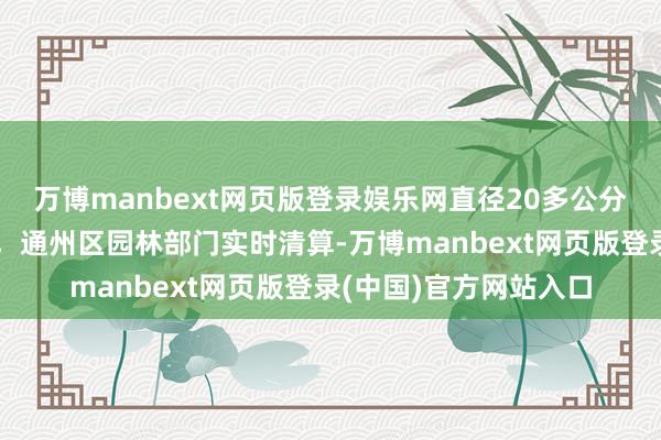 万博manbext网页版登录娱乐网直径20多公分树木被大风连根拔起，通州区园林部门实时清算-万博manbext网页版登录(中国)官方网站入口